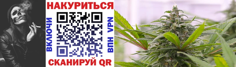 Лсд 25 Лениногорск