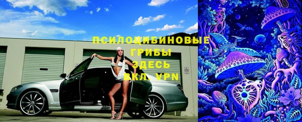 мет Протвино