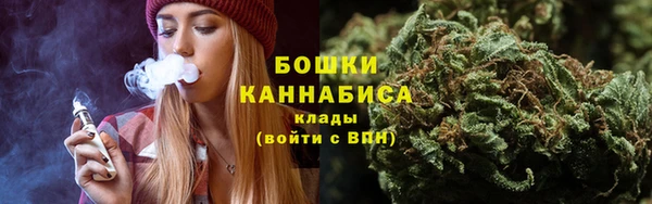 мет Протвино